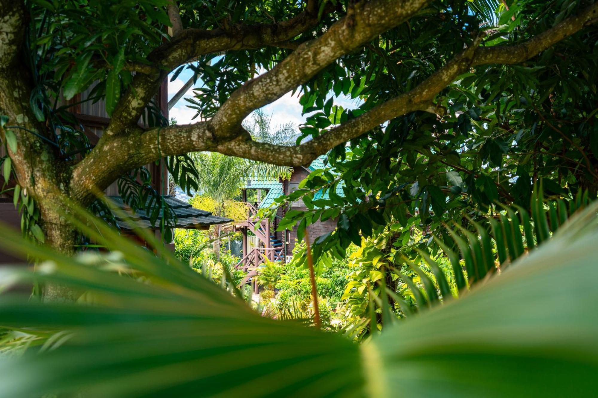 Lemongrass Lodge Beau Vallon  Esterno foto